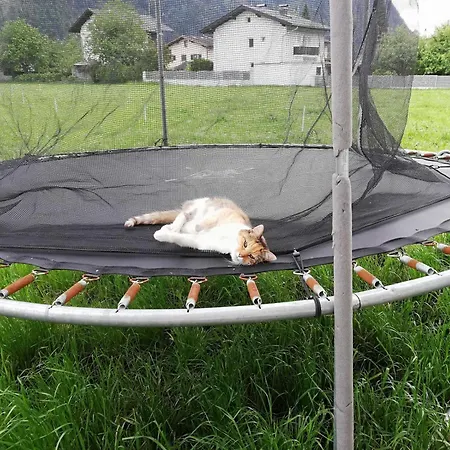 Hauser * Haslach